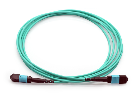 Multimode OM4 câbles à fibre LSZH MPO câble de tronc 3m 5m personnalisé